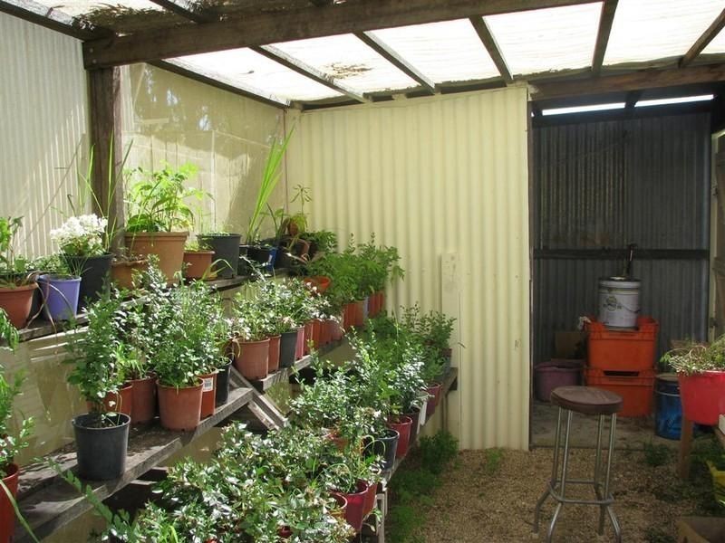 Legume NSW 2476
