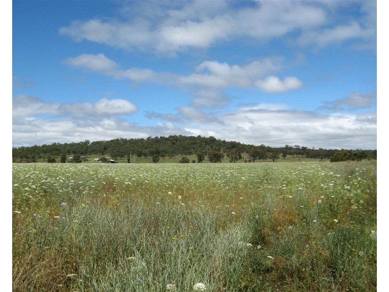 2396 “Sunnyside” Leyburn-Cunningham Road, Warwick QLD 4370