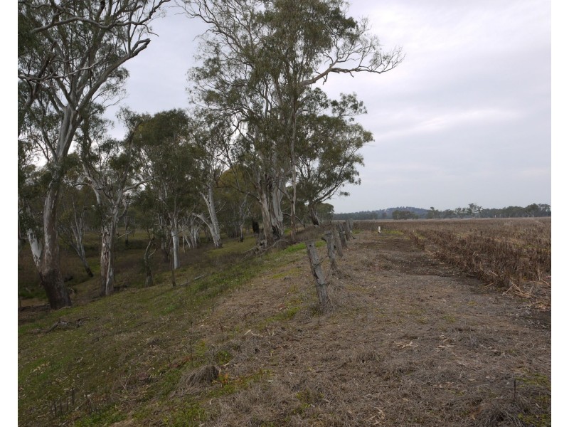 2396 “Sunnyside” Leyburn-Cunningham Road, Warwick QLD 4370