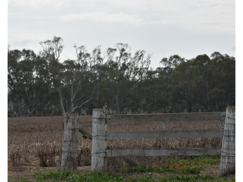 2396 “Sunnyside” Leyburn-Cunningham Road, Warwick QLD 4370