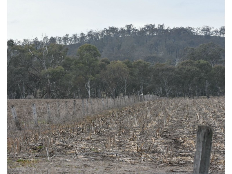 2396 “Sunnyside” Leyburn-Cunningham Road, Warwick QLD 4370