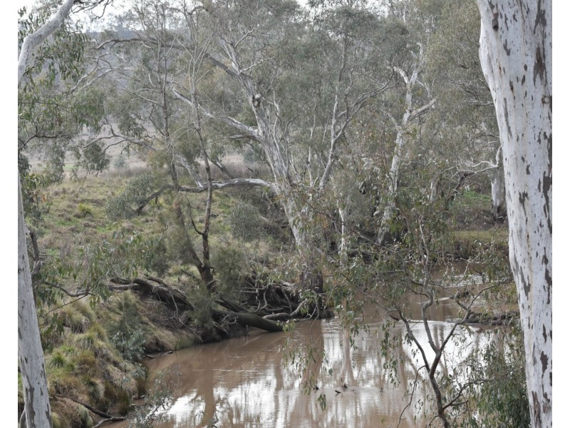 2396 “Sunnyside” Leyburn-Cunningham Road, Warwick QLD 4370