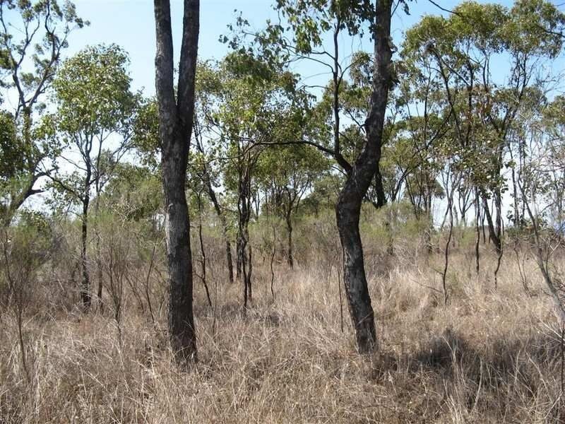 Lot 21 Goomburra Street, Hendon QLD 4362