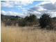 Lot 318 Watts Street, Maryvale QLD 4370