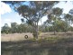 L9 Peter Street, Leyburn QLD 4365