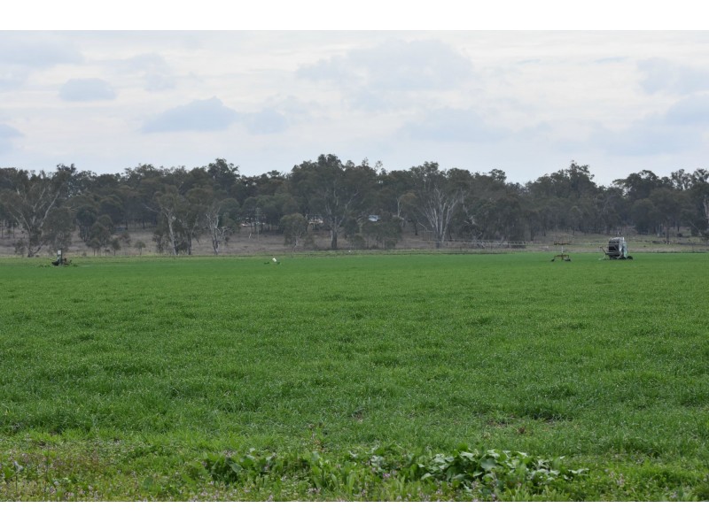 Lot 151 School Of Arts Road, Pratten QLD 4370