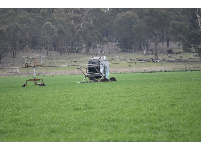 Lot 151 School Of Arts Road, Pratten QLD 4370