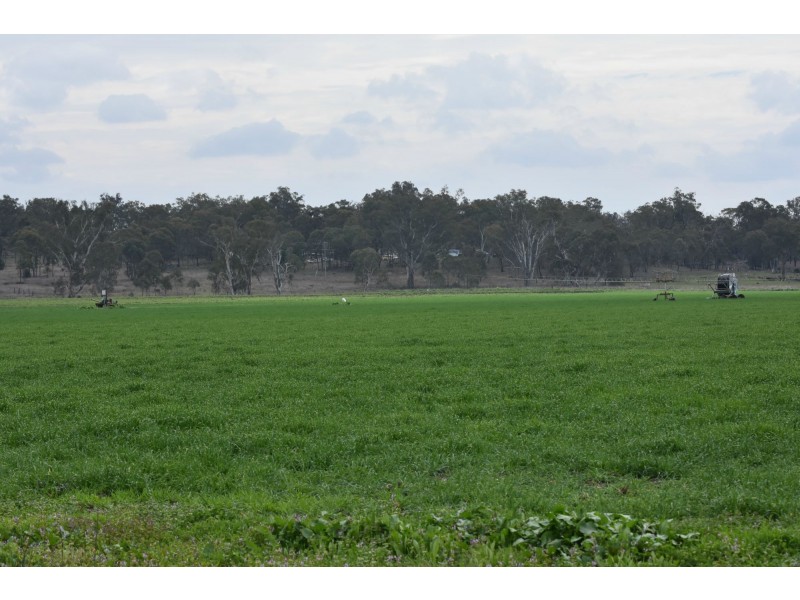 Lot 151 School Of Arts Road, Pratten QLD 4370