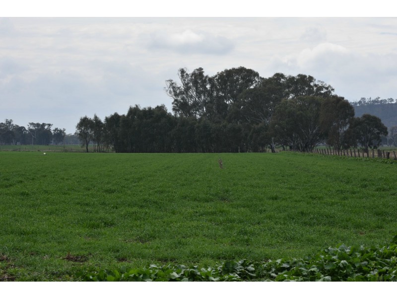 Lot 151 School Of Arts Road, Pratten QLD 4370