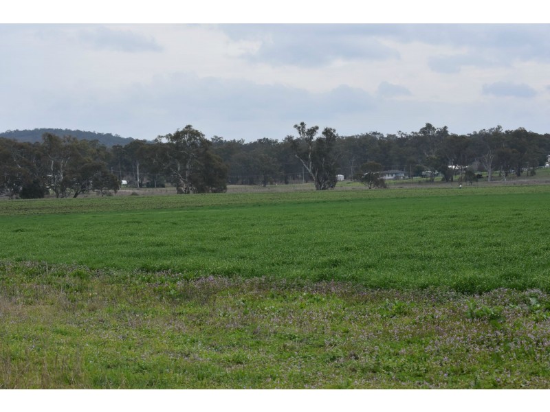 Lot 151 School Of Arts Road, Pratten QLD 4370