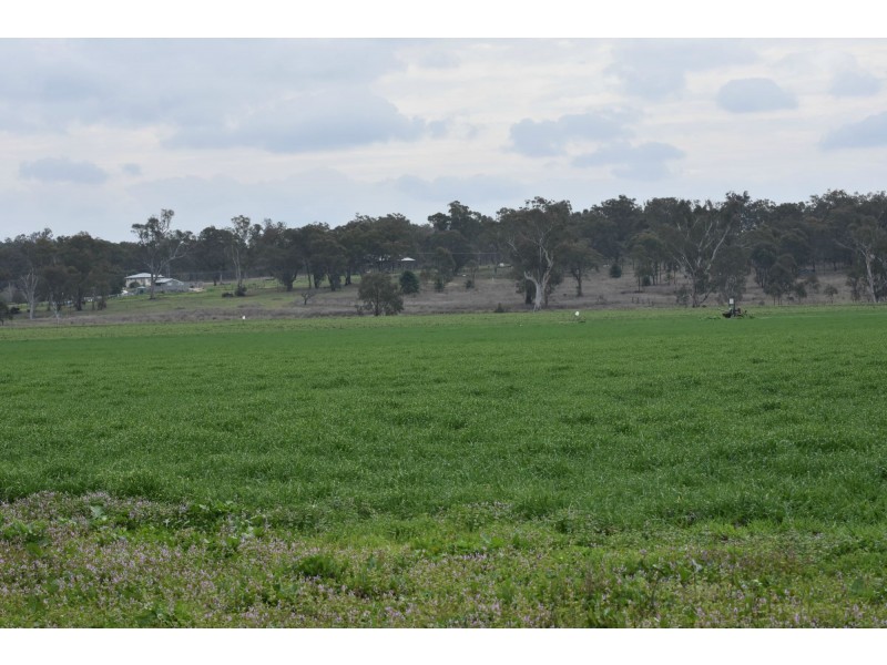 Lot 151 School Of Arts Road, Pratten QLD 4370