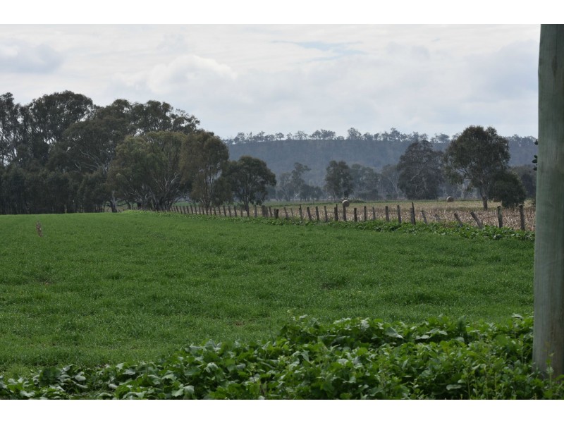 Lot 151 School Of Arts Road, Pratten QLD 4370