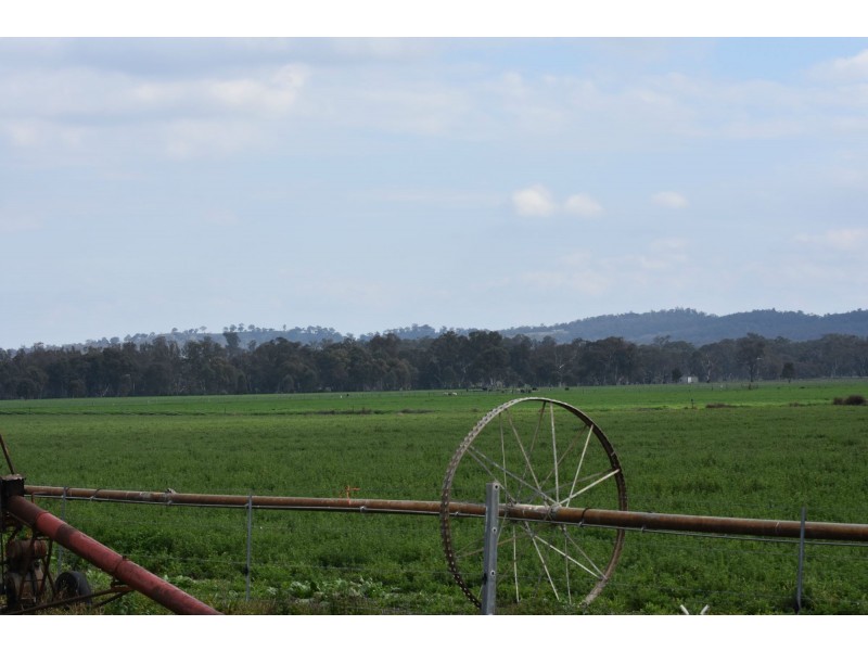 Lot 151 School Of Arts Road, Pratten QLD 4370