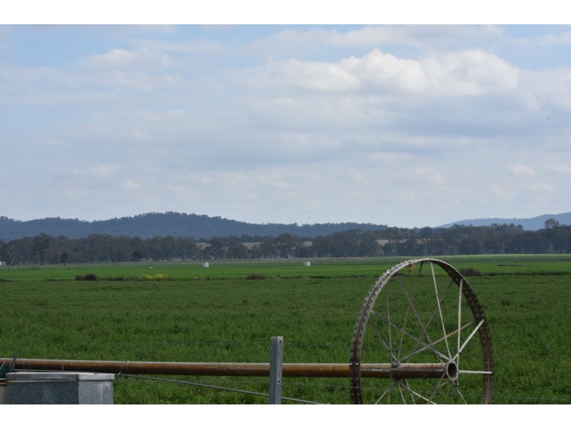 Lot 151 School Of Arts Road, Pratten QLD 4370