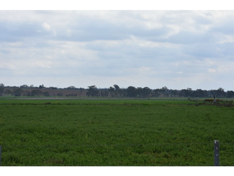 Lot 151 School Of Arts Road, Pratten QLD 4370