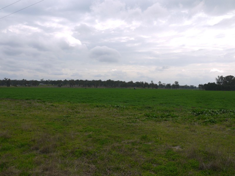 Lot 151 School Of Arts Road, Pratten QLD 4370