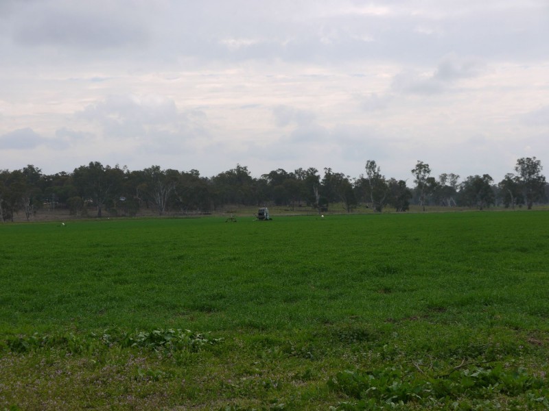 Lot 151 School Of Arts Road, Pratten QLD 4370