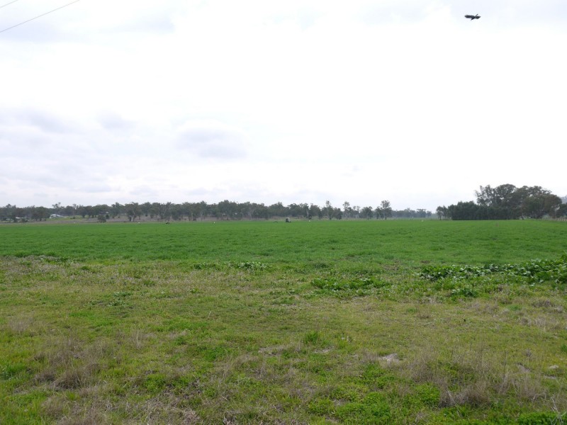 Lot 151 School Of Arts Road, Pratten QLD 4370