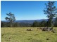 L30 Urbenville Road, Koreelah NSW 2476