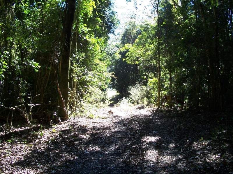 L30 Urbenville Road, Koreelah NSW 2476