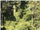 L30 Urbenville Road, Koreelah NSW 2476