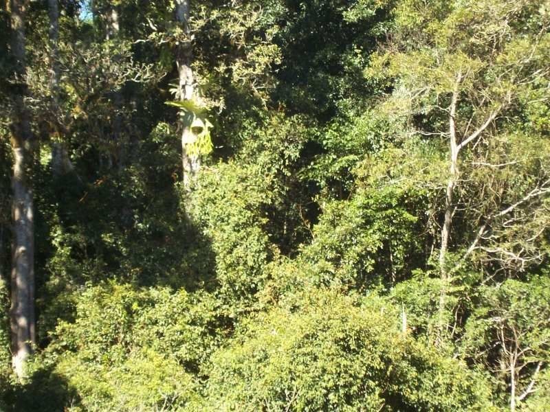 L30 Urbenville Road, Koreelah NSW 2476