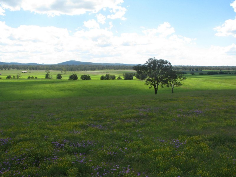 Lot 1 74 Craikes Road, Murrays Bridge QLD 4370