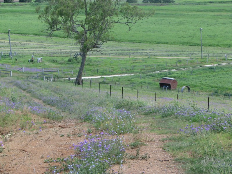 Lot 1 74 Craikes Road, Murrays Bridge QLD 4370