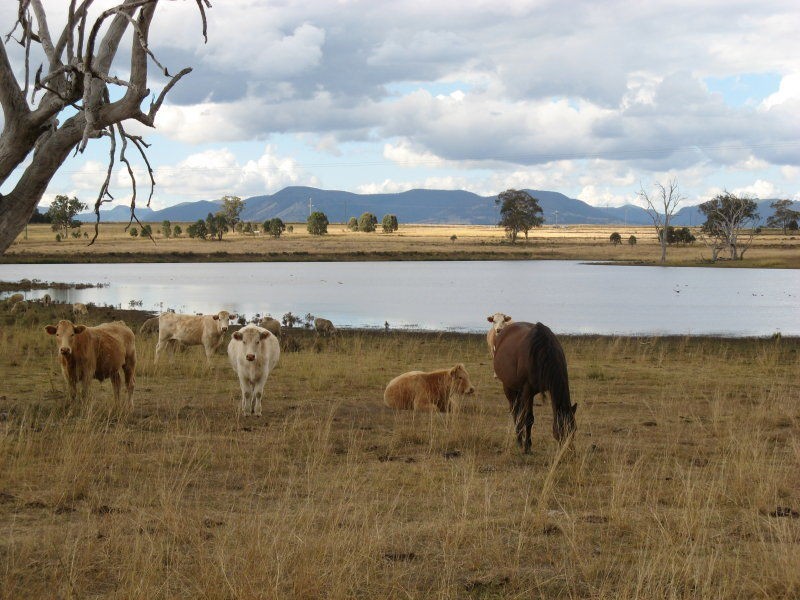 Warwick QLD 4370