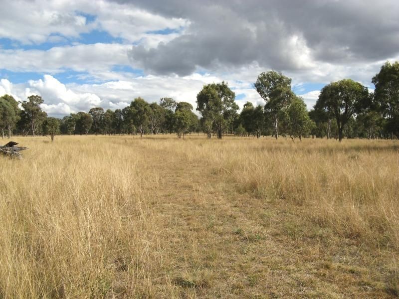 Warwick QLD 4370