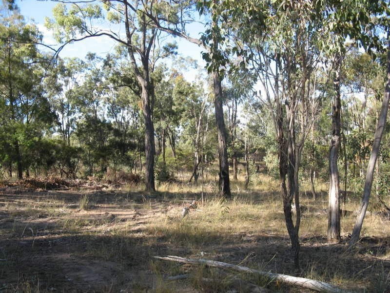 L59 Freestone Creek Road, Warwick QLD 4370