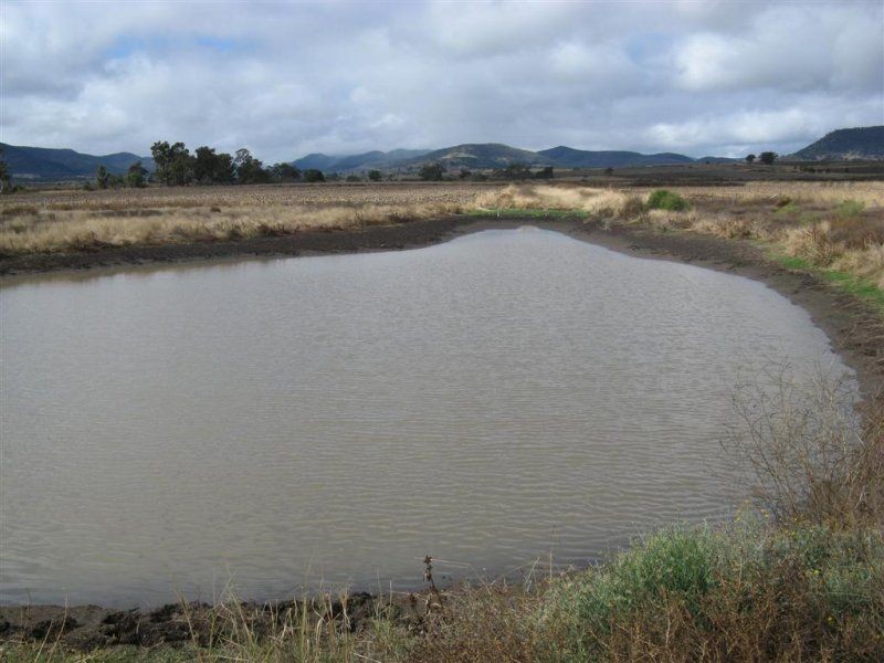 L60 Freestone Creek Road, Warwick QLD 4370