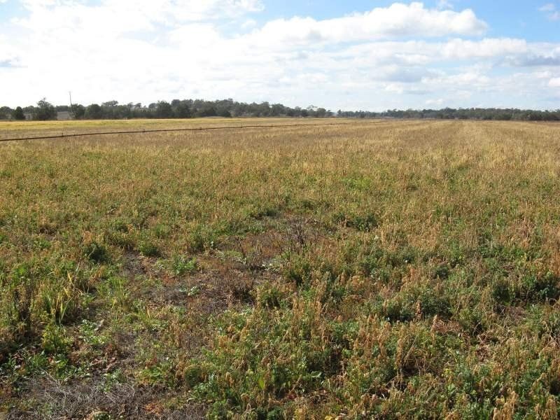 Talgai QLD 4362