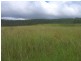 Allora QLD 4362