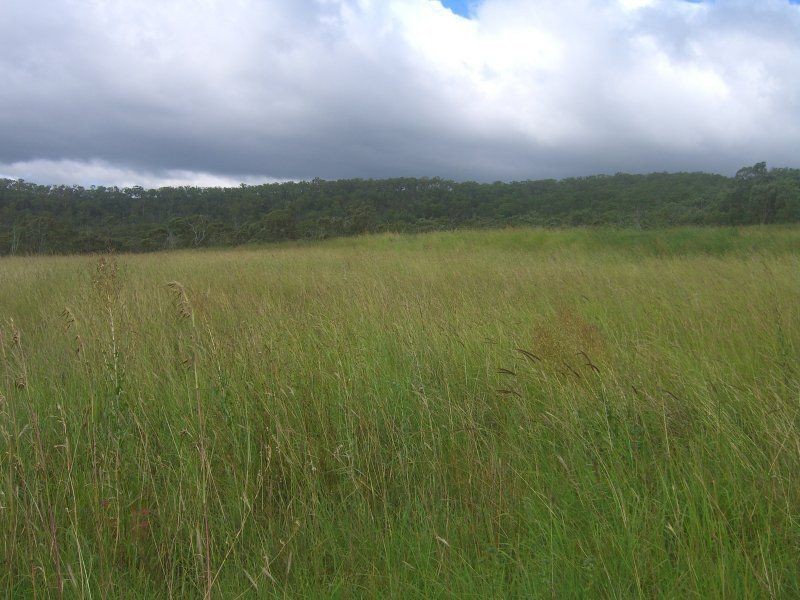 Allora QLD 4362