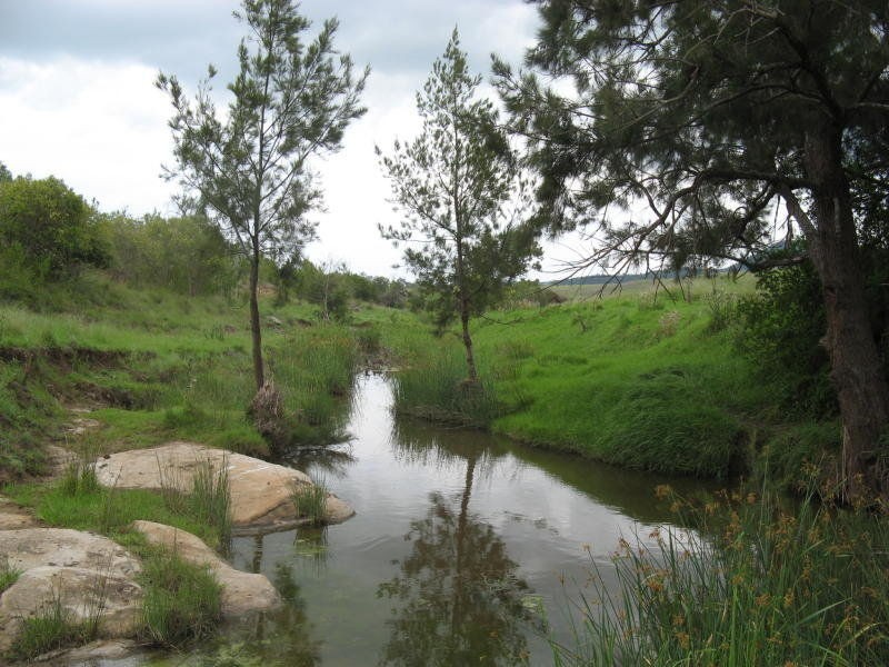 Warwick QLD 4370