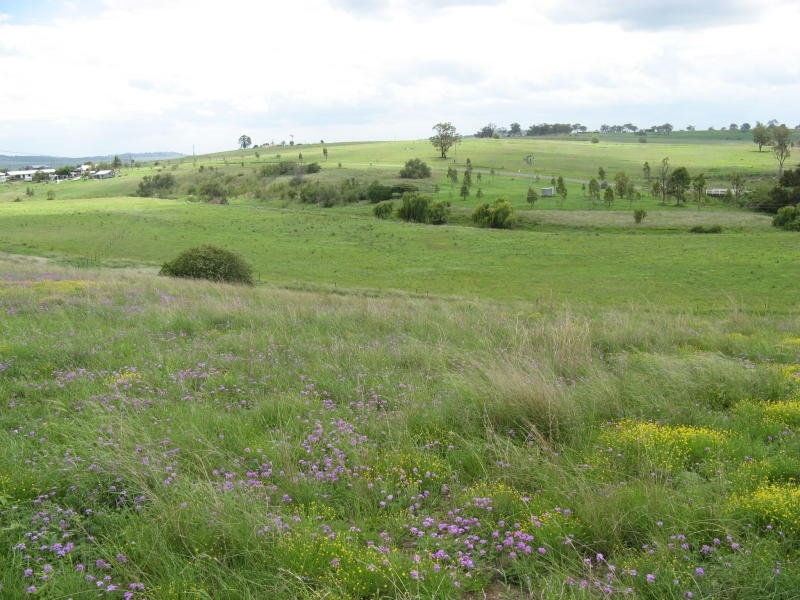 Warwick QLD 4370