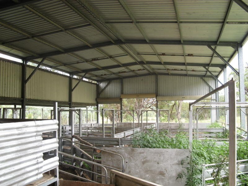 Stanthorpe QLD 4380