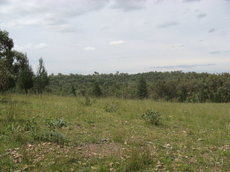 Stanthorpe QLD 4380