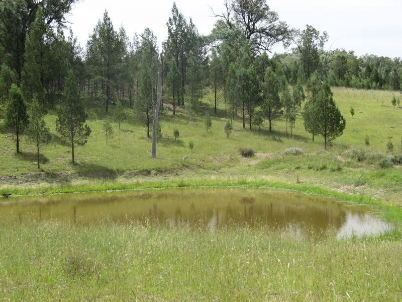 Stanthorpe QLD 4380