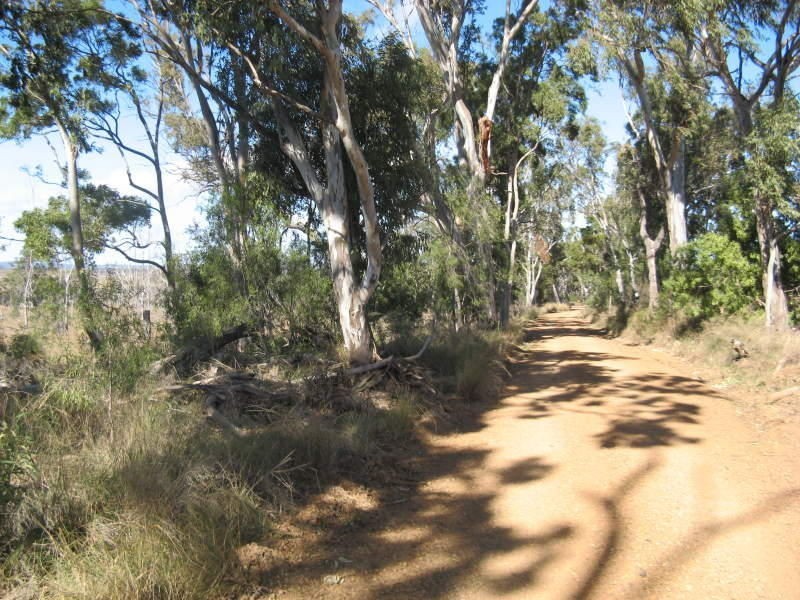 Clifton QLD 4361