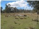 Clifton QLD 4361