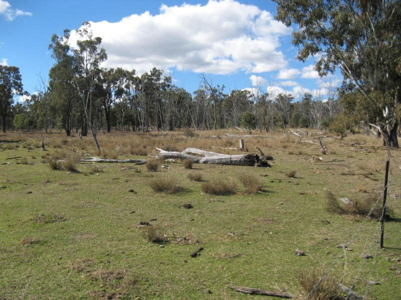 Clifton QLD 4361