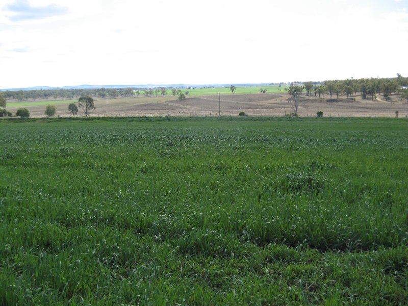 Clifton QLD 4361