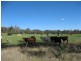 Clifton QLD 4361