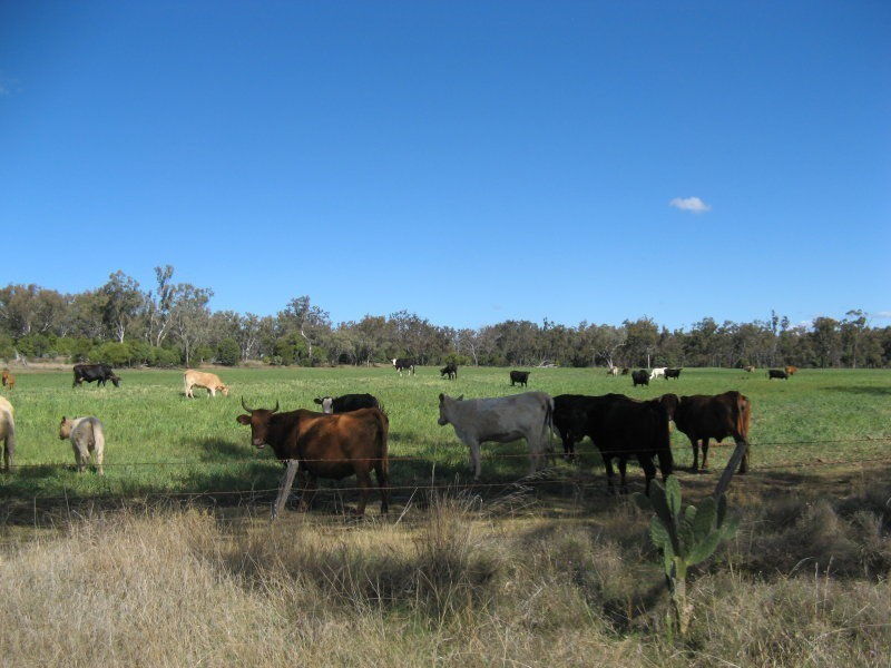 Clifton QLD 4361