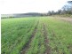 Clifton QLD 4361