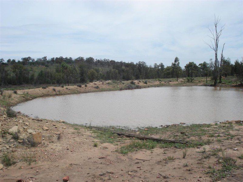 Kooroongarra QLD 4357