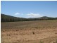 L5743 Bruxner Highway, Tenterfield NSW 2372