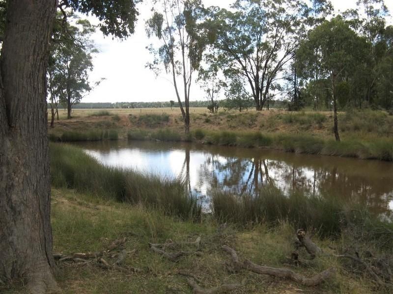 Leyburn QLD 4365
